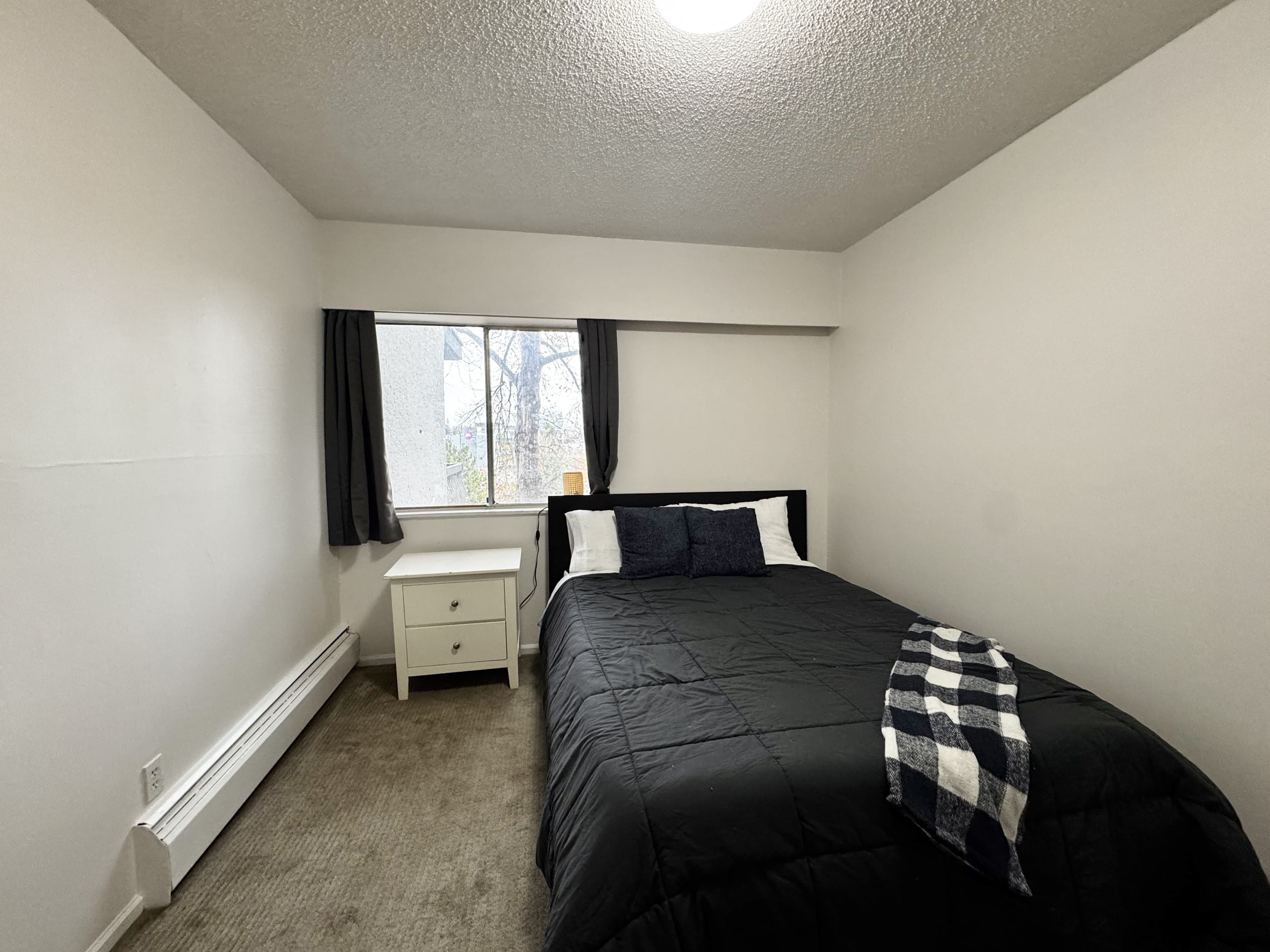 801 E 6th - Furnished 1 BR in Mount Pleasant 