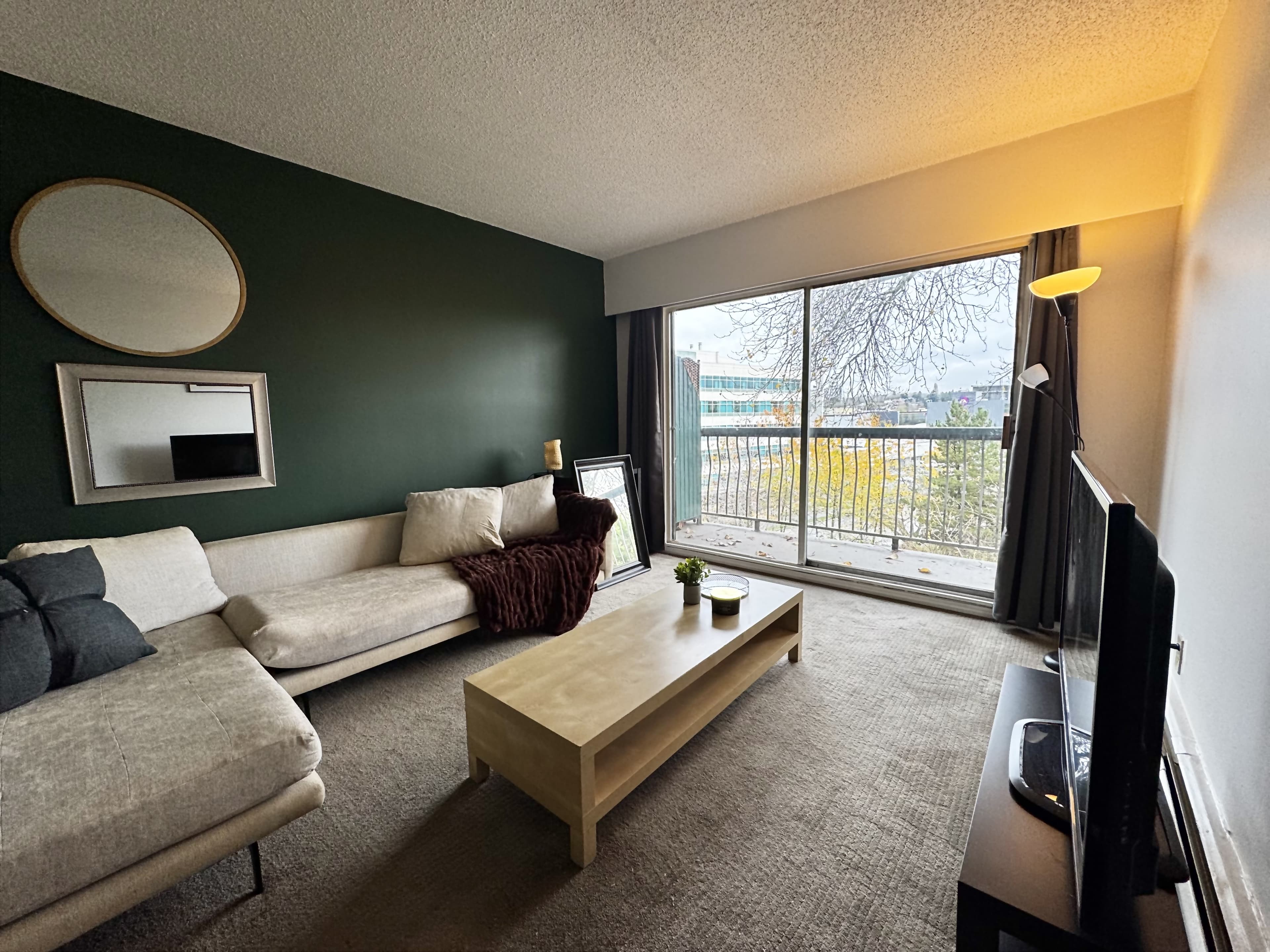 801 E 6th - Furnished 1 BR in Mount Pleasant 