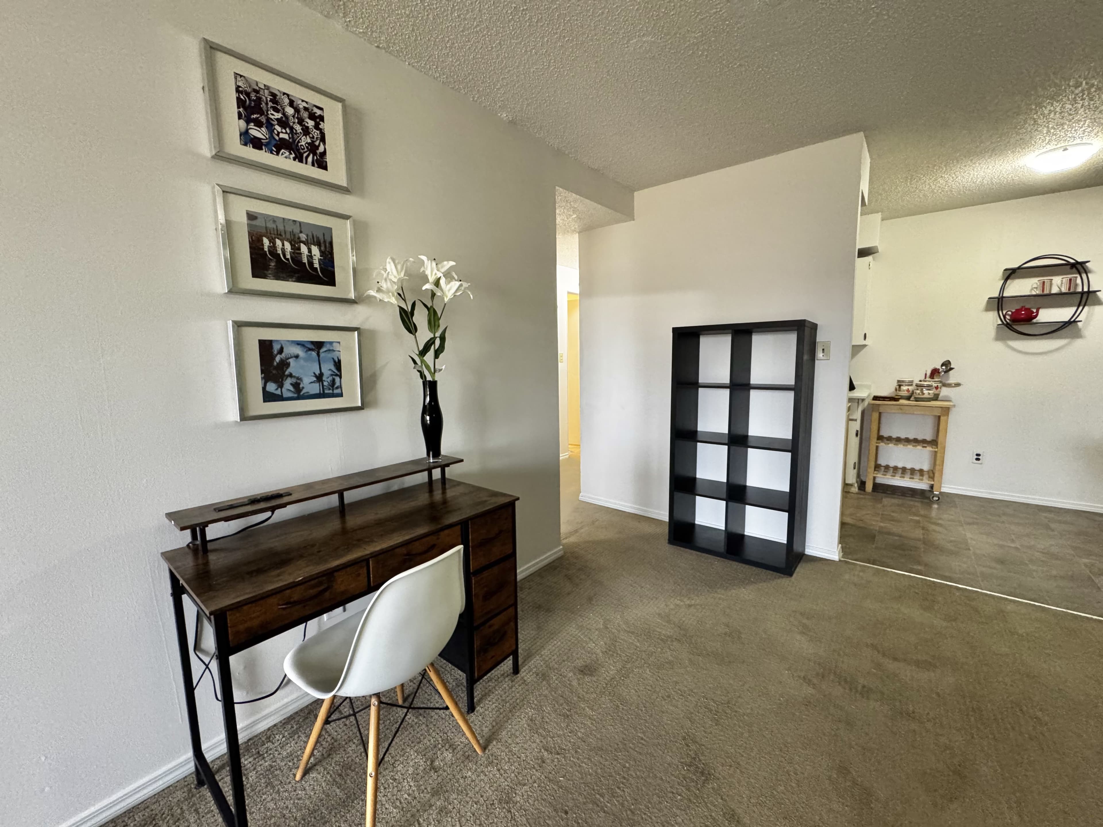 801 E 6th - Furnished 1 BR in Mount Pleasant 