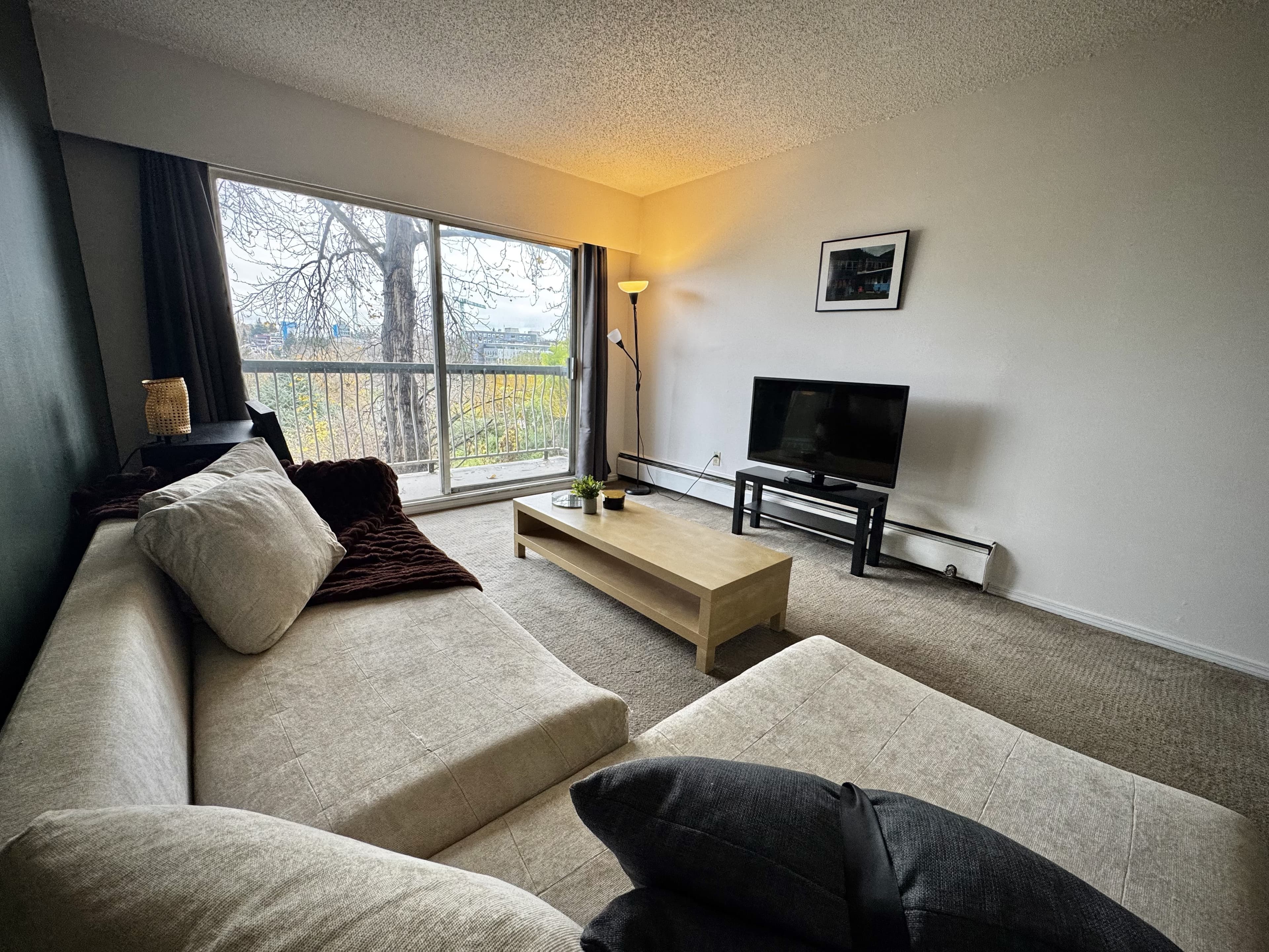 801 E 6th - Furnished 1 BR in Mount Pleasant 